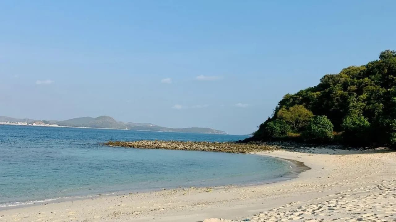 Изображение услуги2