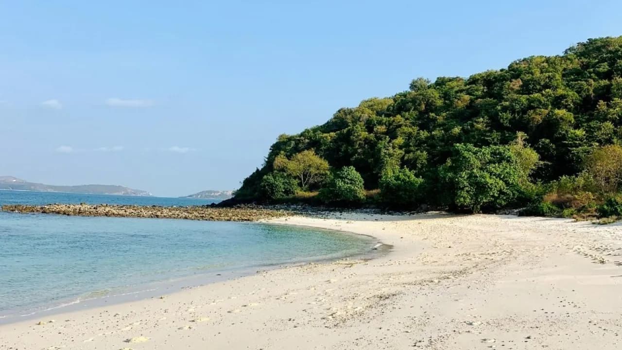 Изображение услуги4