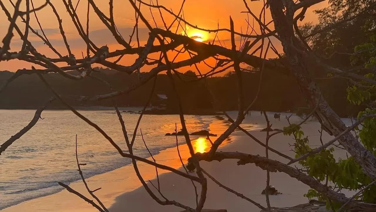 Изображение услуги3