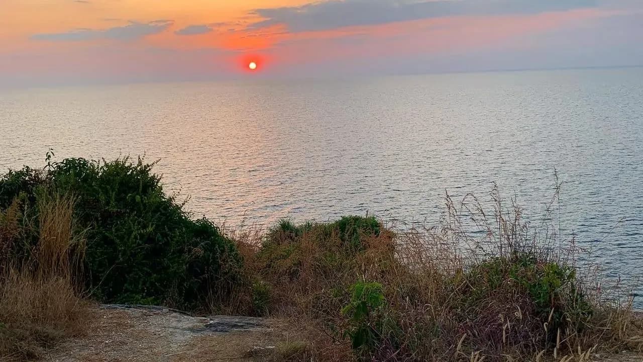 Изображение услуги3