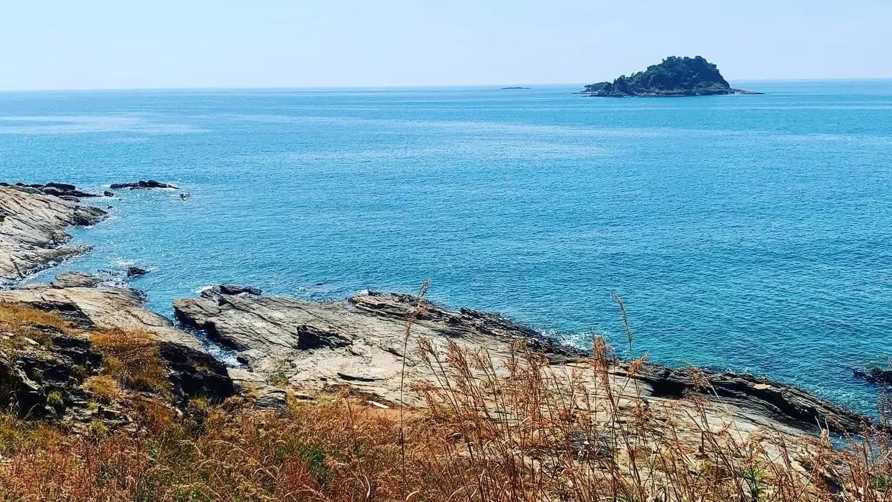 Изображение услуги14