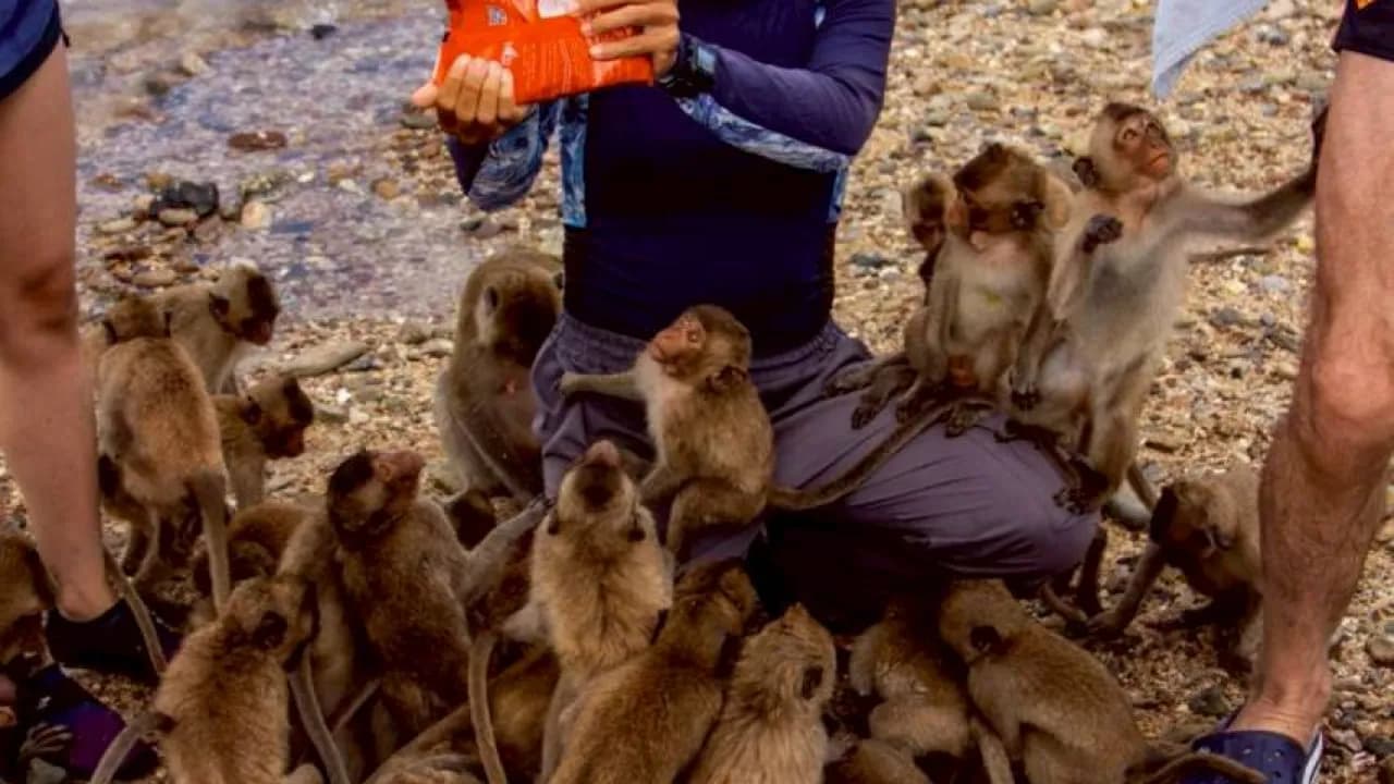 Изображение услуги4