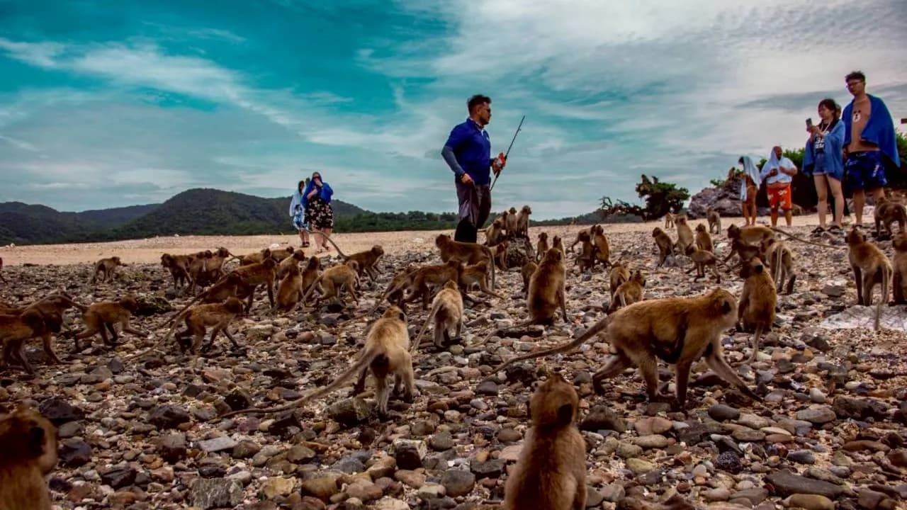 Изображение услуги10