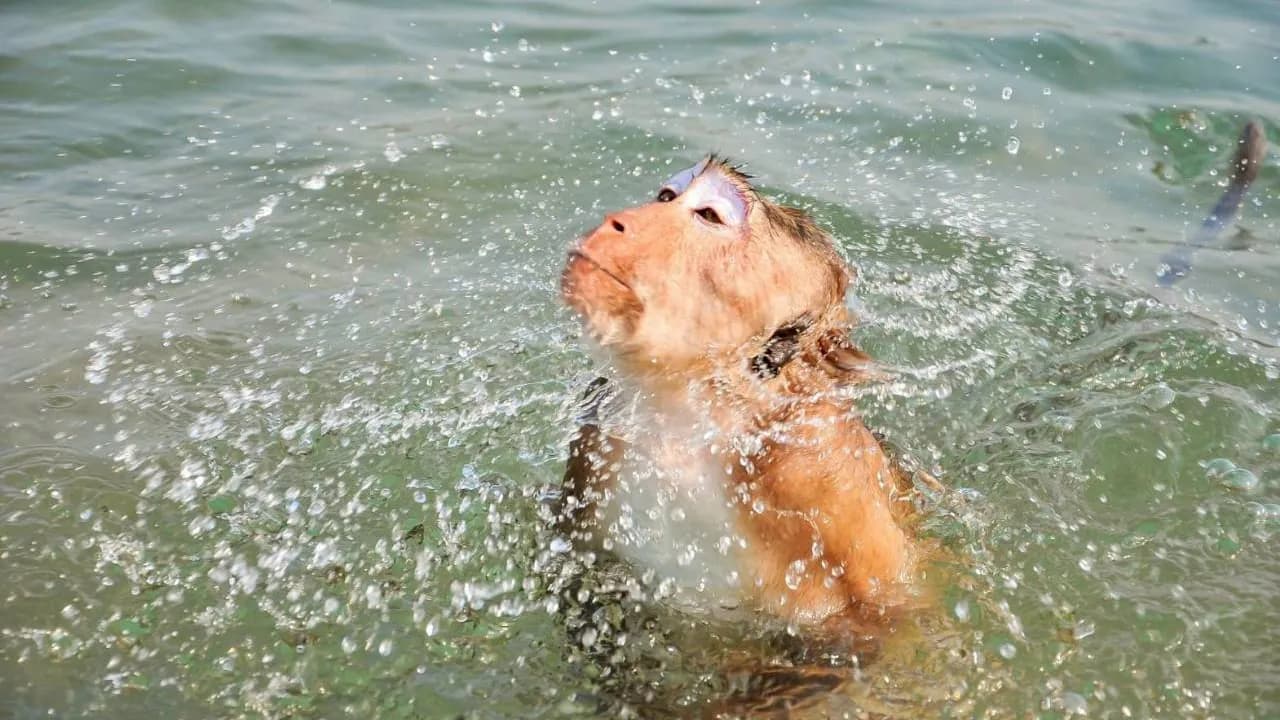 Изображение услуги11