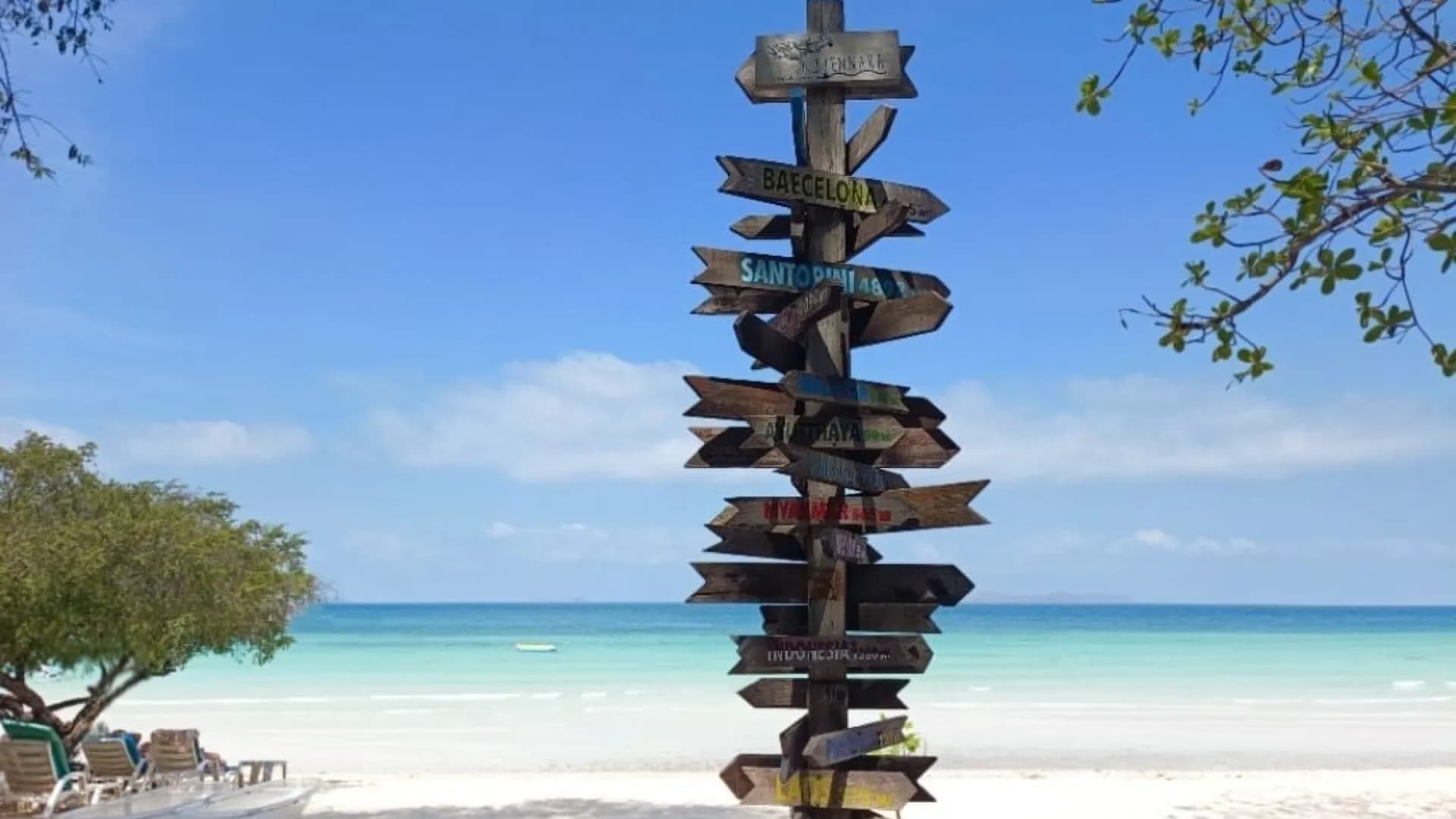 Изображение услуги4