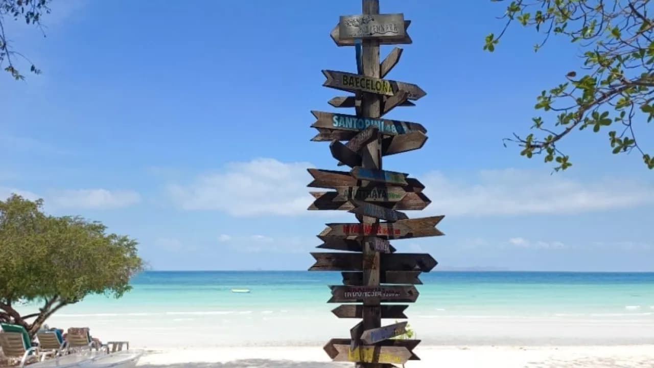 Изображение услуги4