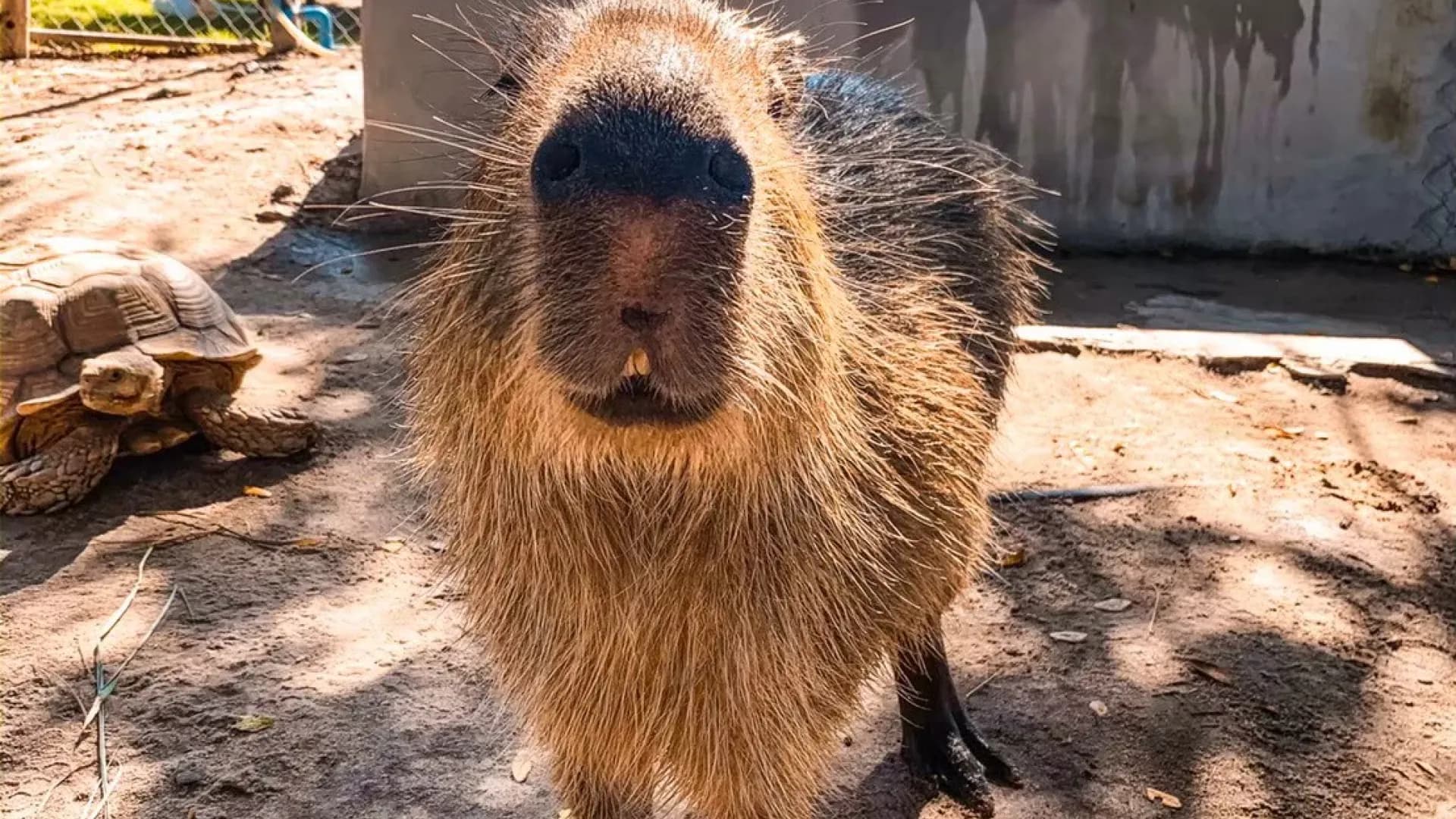 Изображение услуги2