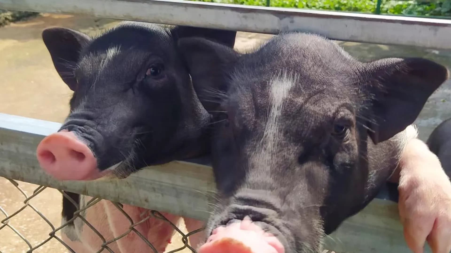 Изображение услуги3