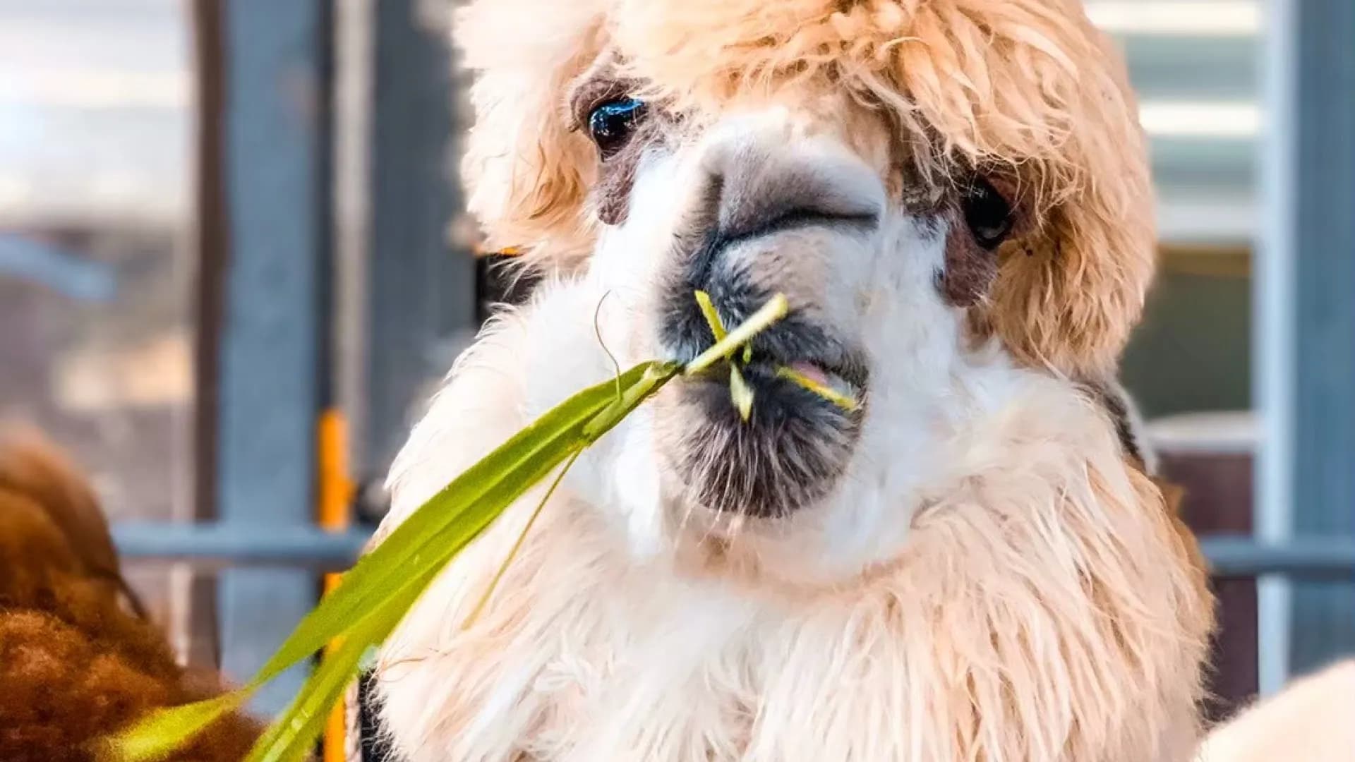 Изображение услуги4