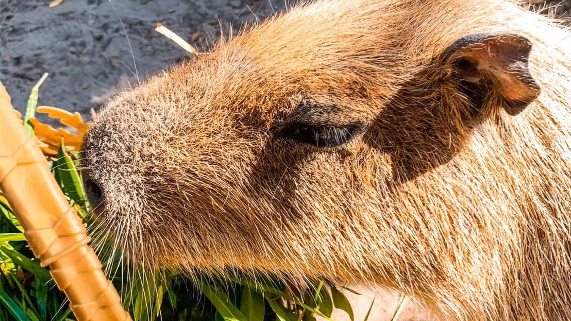 Изображение услуги6