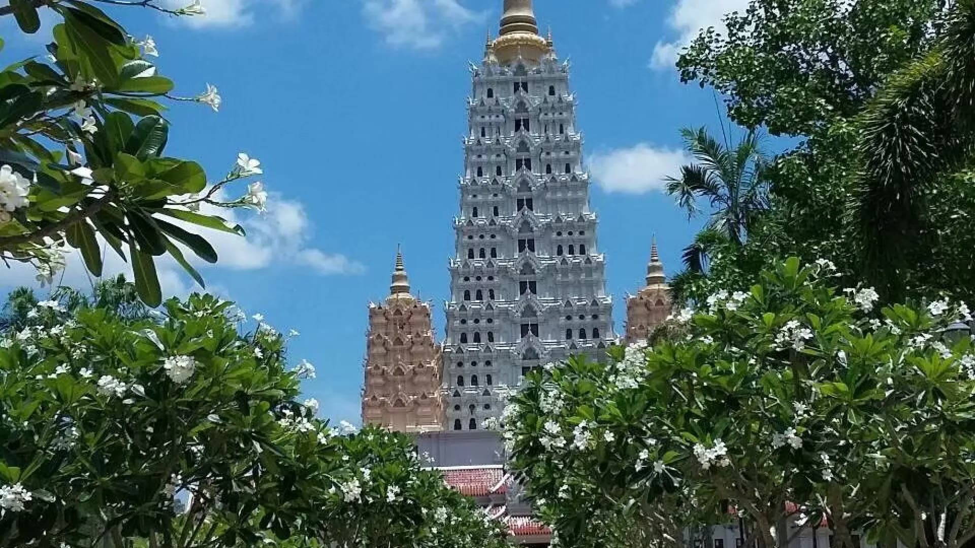 Изображение услуги8