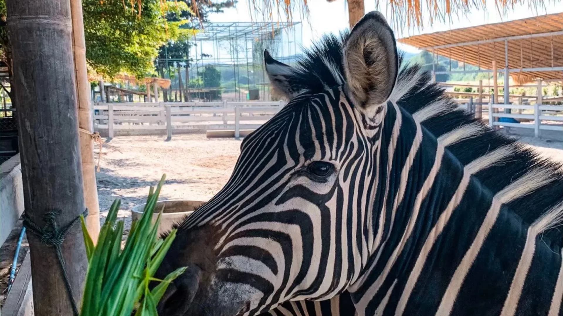 Изображение услуги9