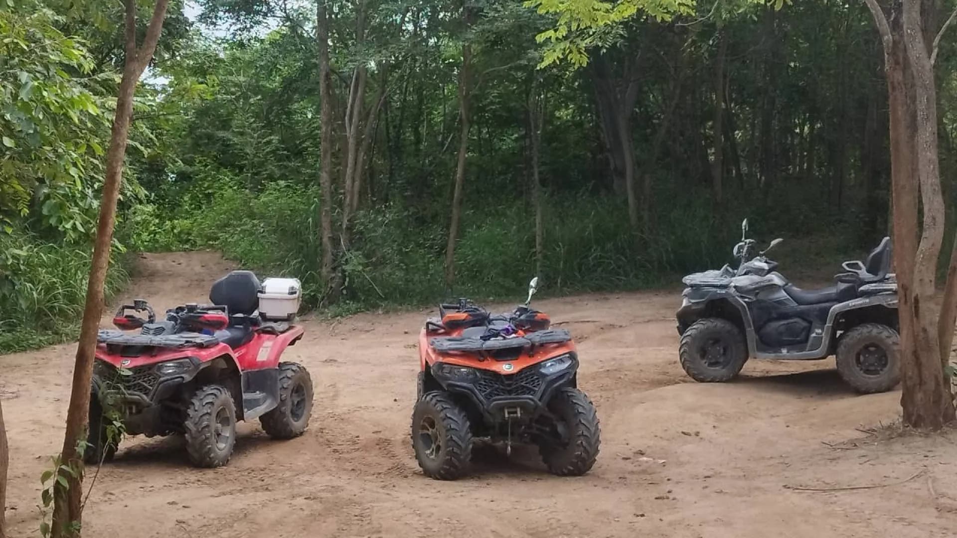 Изображение услуги4