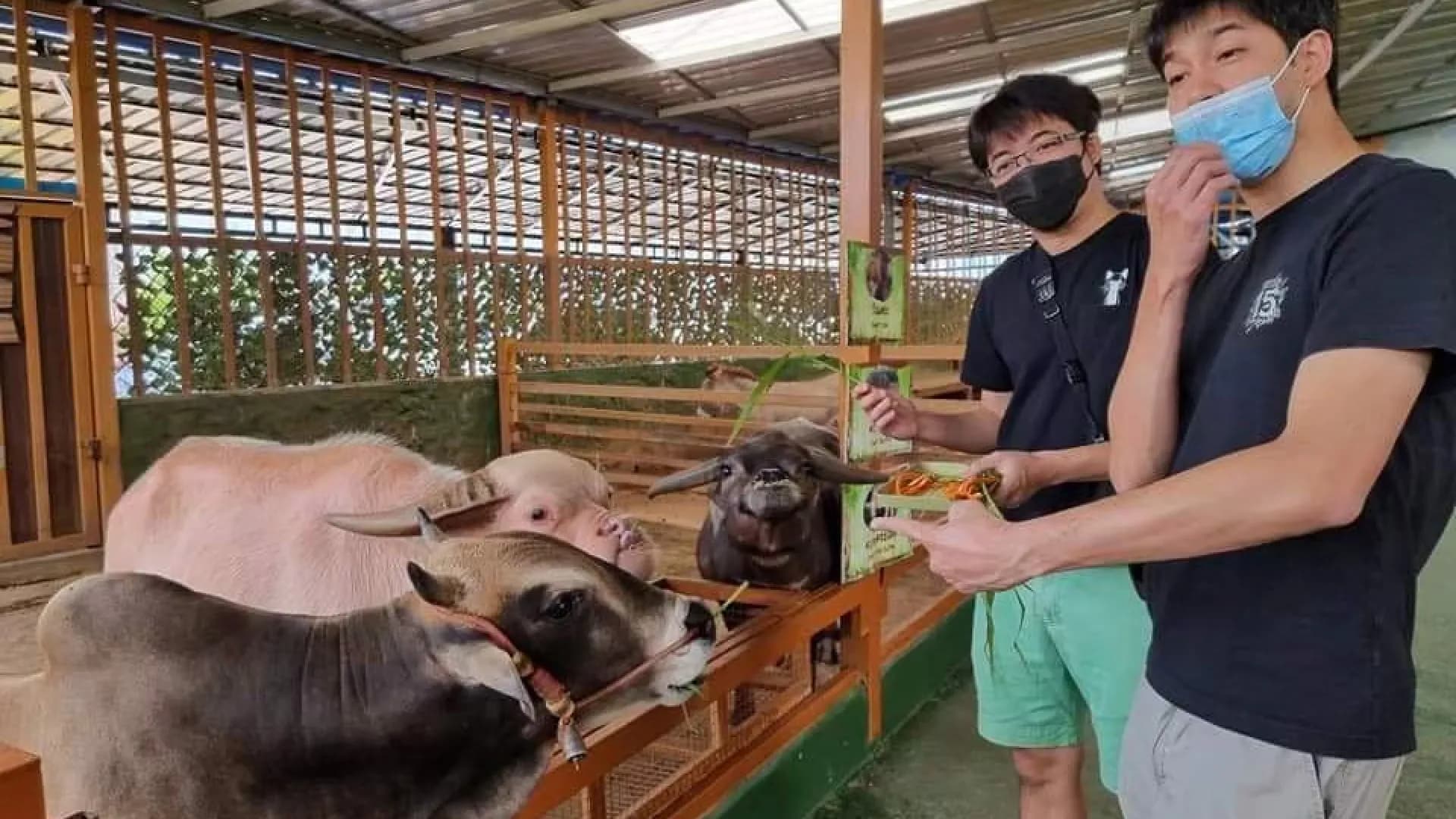 Изображение услуги1