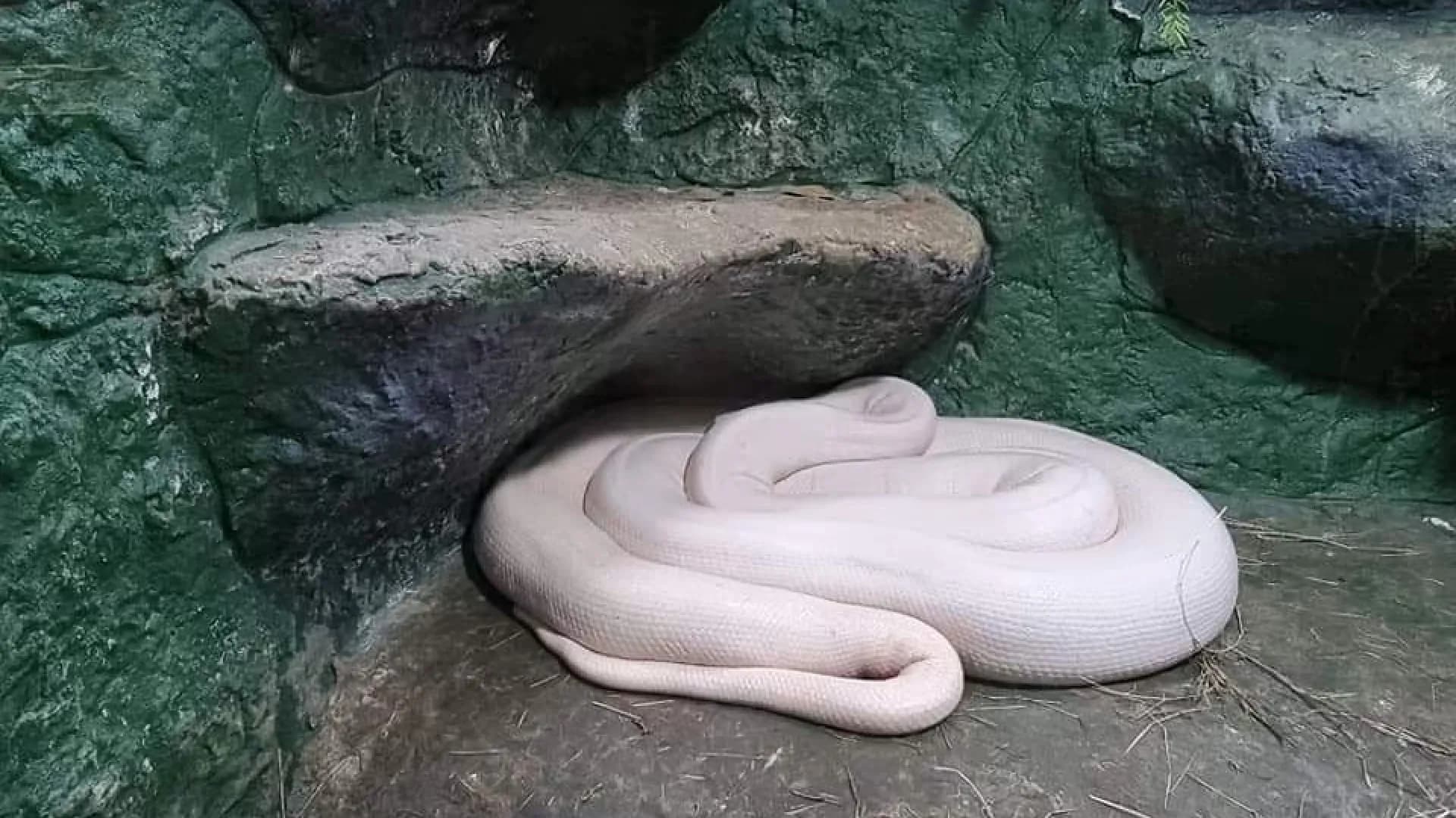 Изображение услуги3