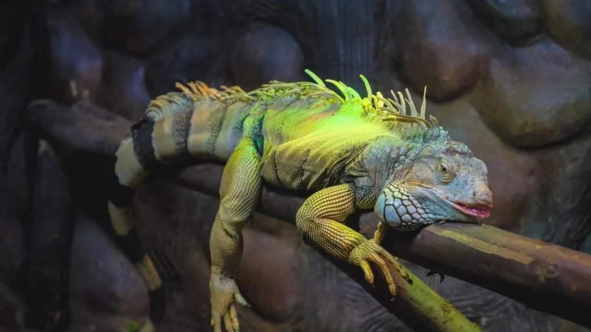 Изображение услуги4