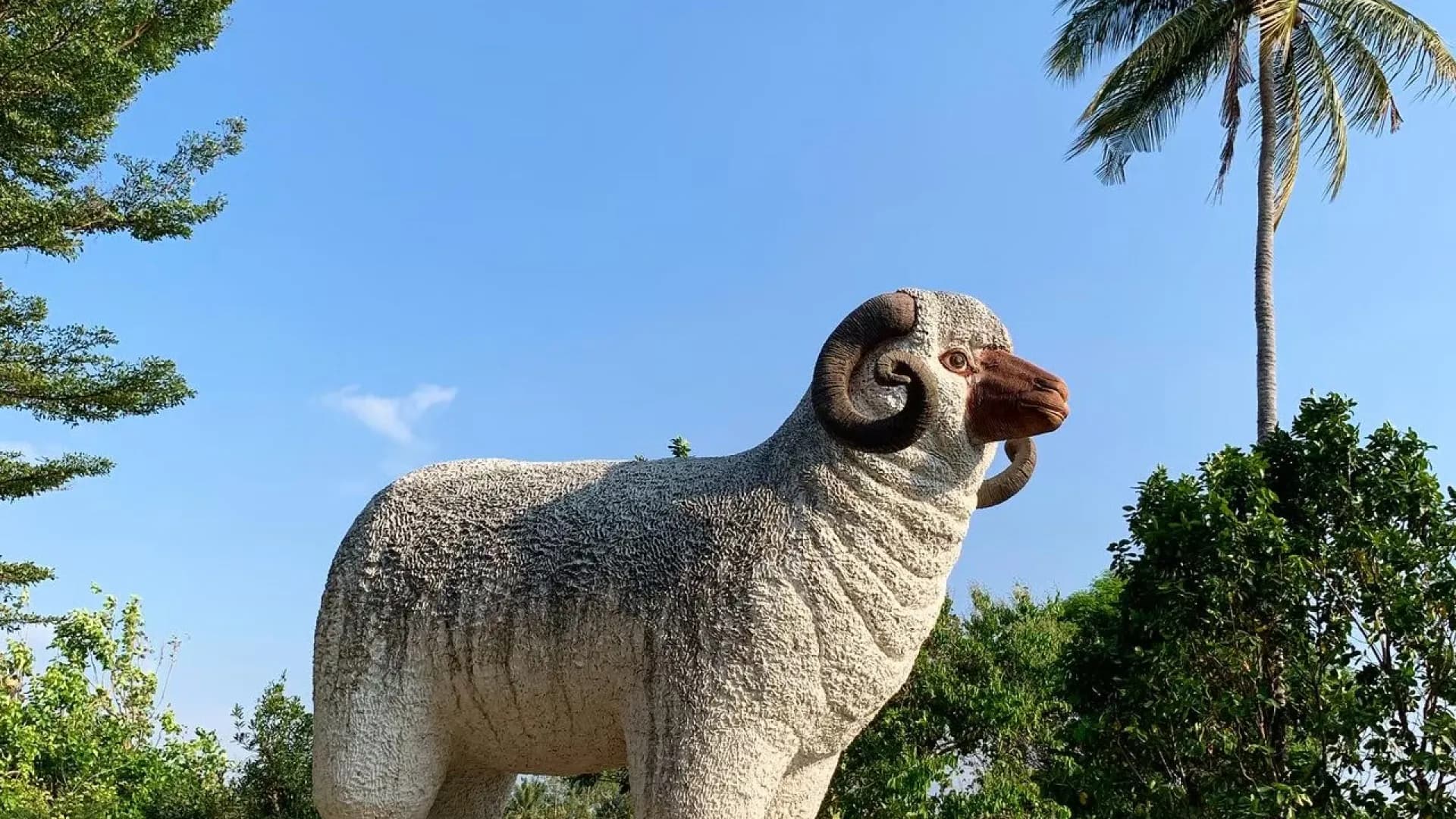 Изображение услуги5