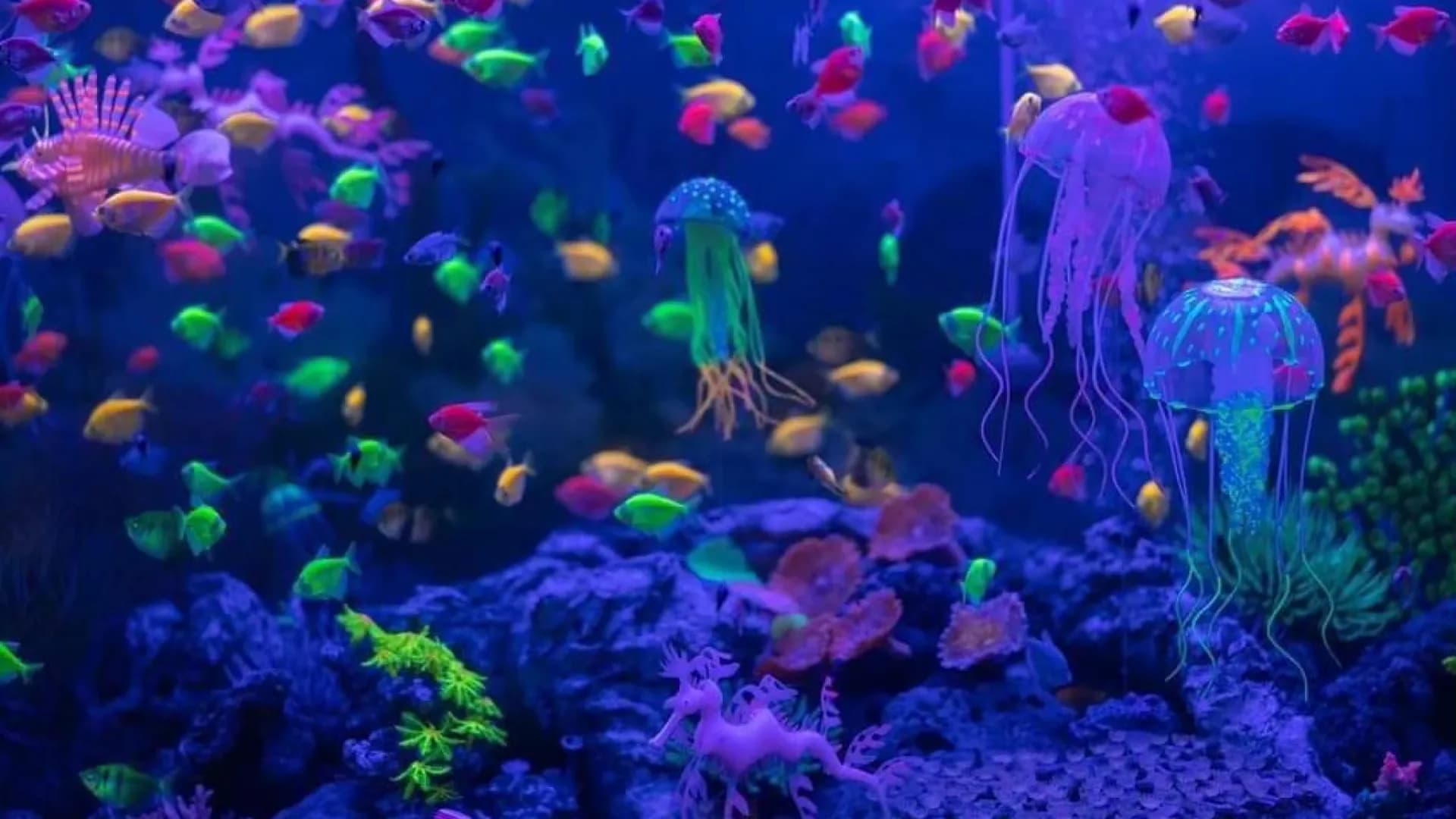 Изображение услуги6