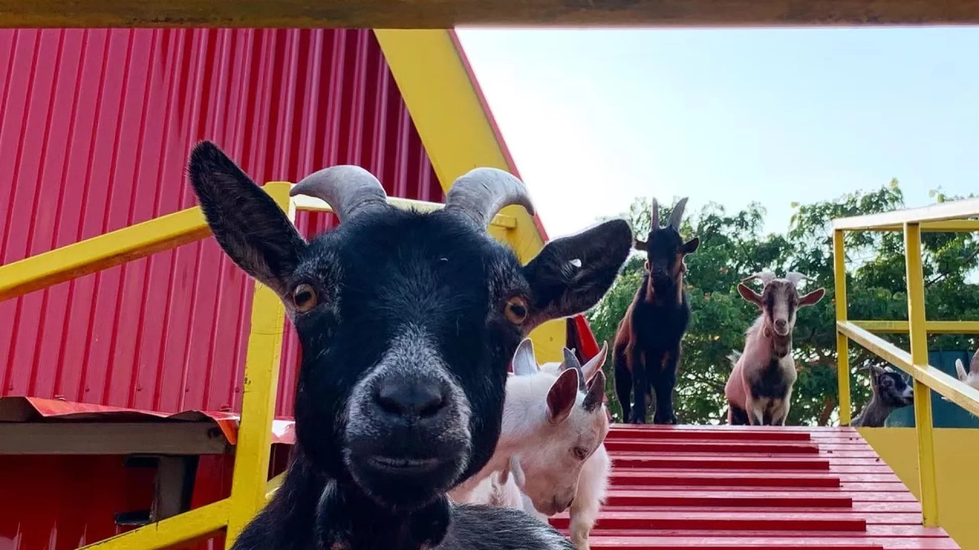 Изображение услуги7