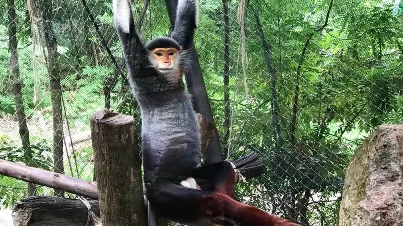 Изображение услуги1