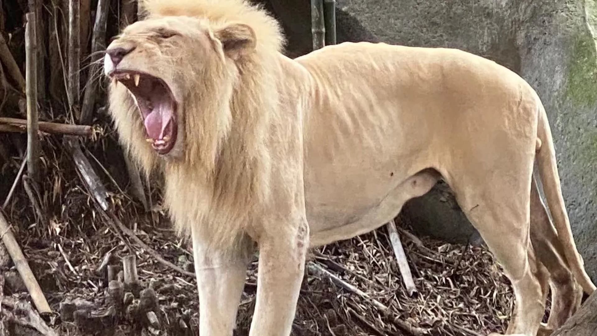 Изображение услуги2