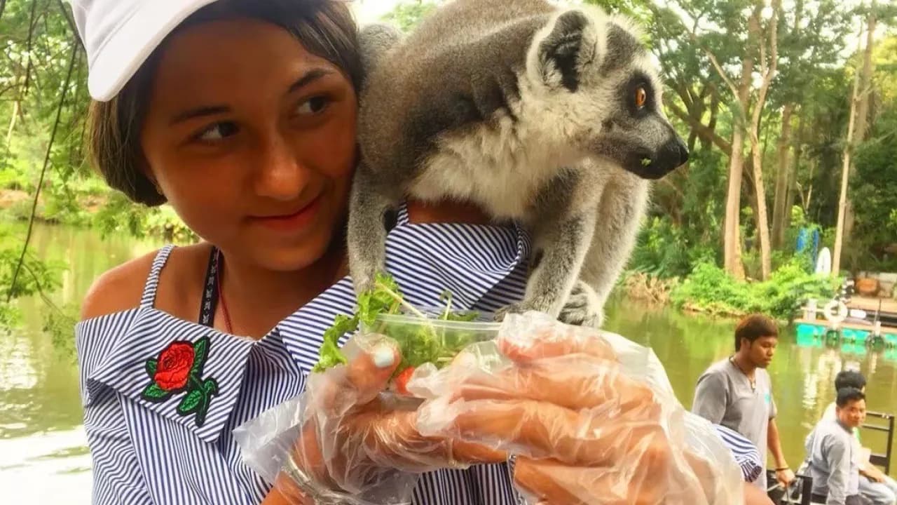 Изображение услуги3