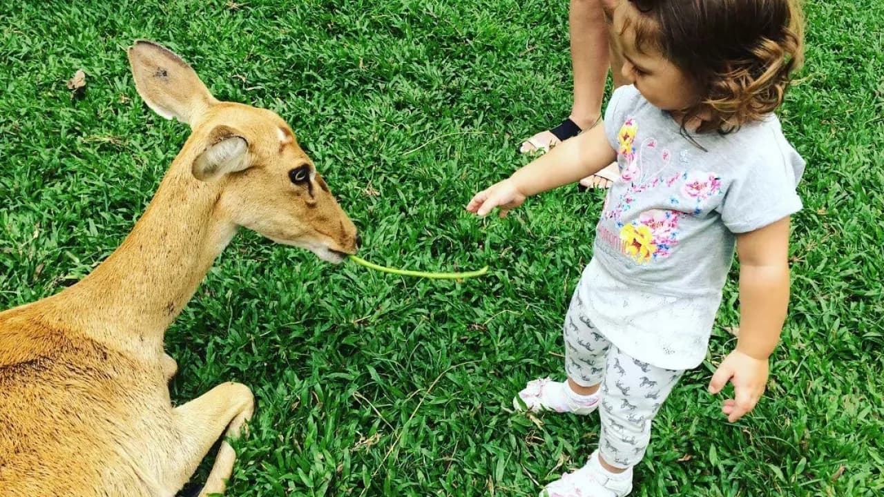 Изображение услуги4