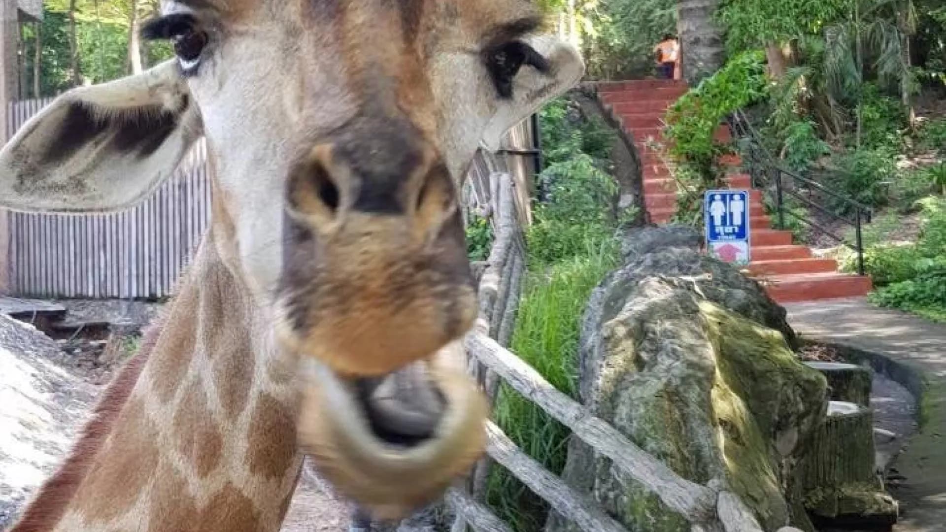 Изображение услуги5