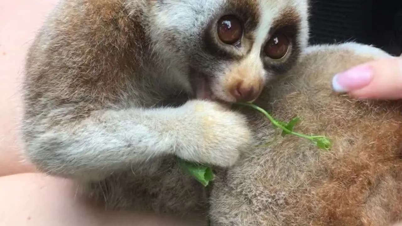 Изображение услуги6