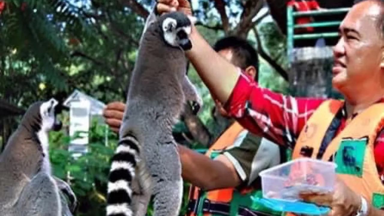 Изображение услуги7