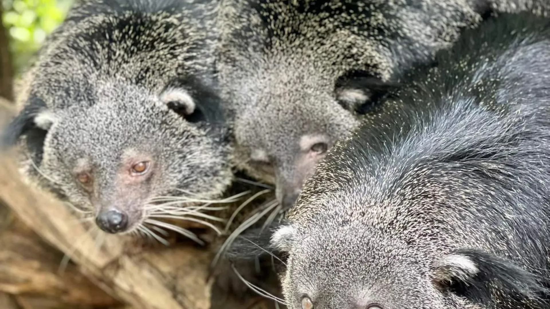 Изображение услуги9