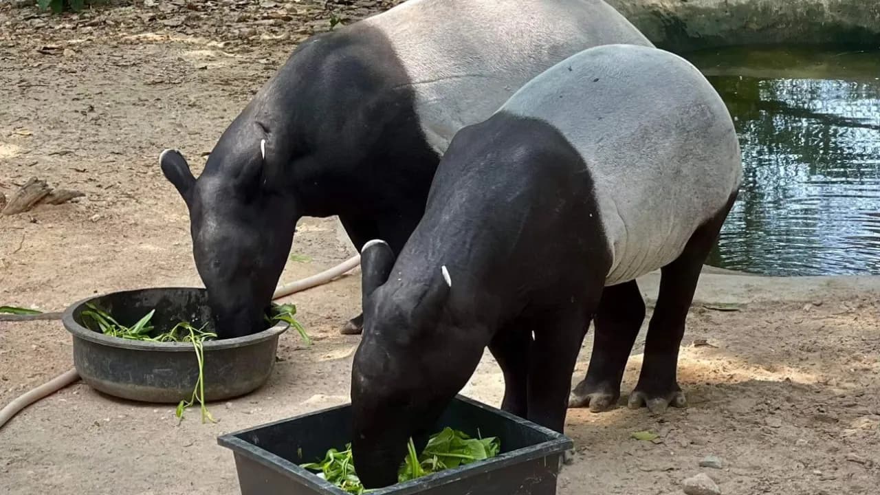 Изображение услуги10