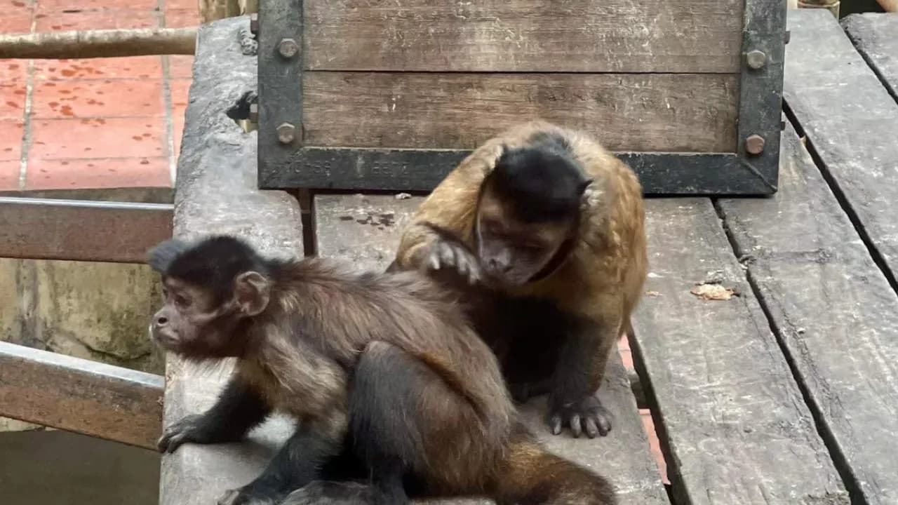 Изображение услуги11