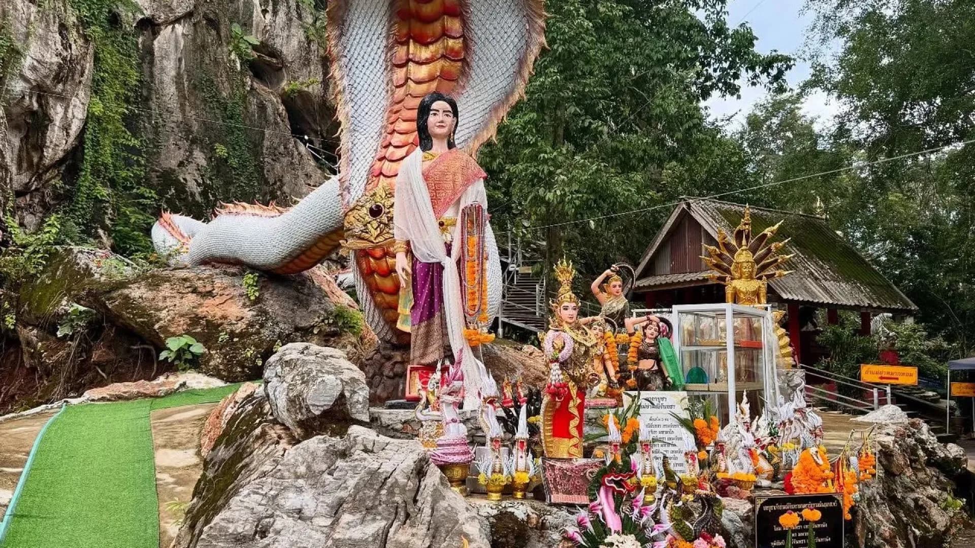 Изображение услуги1