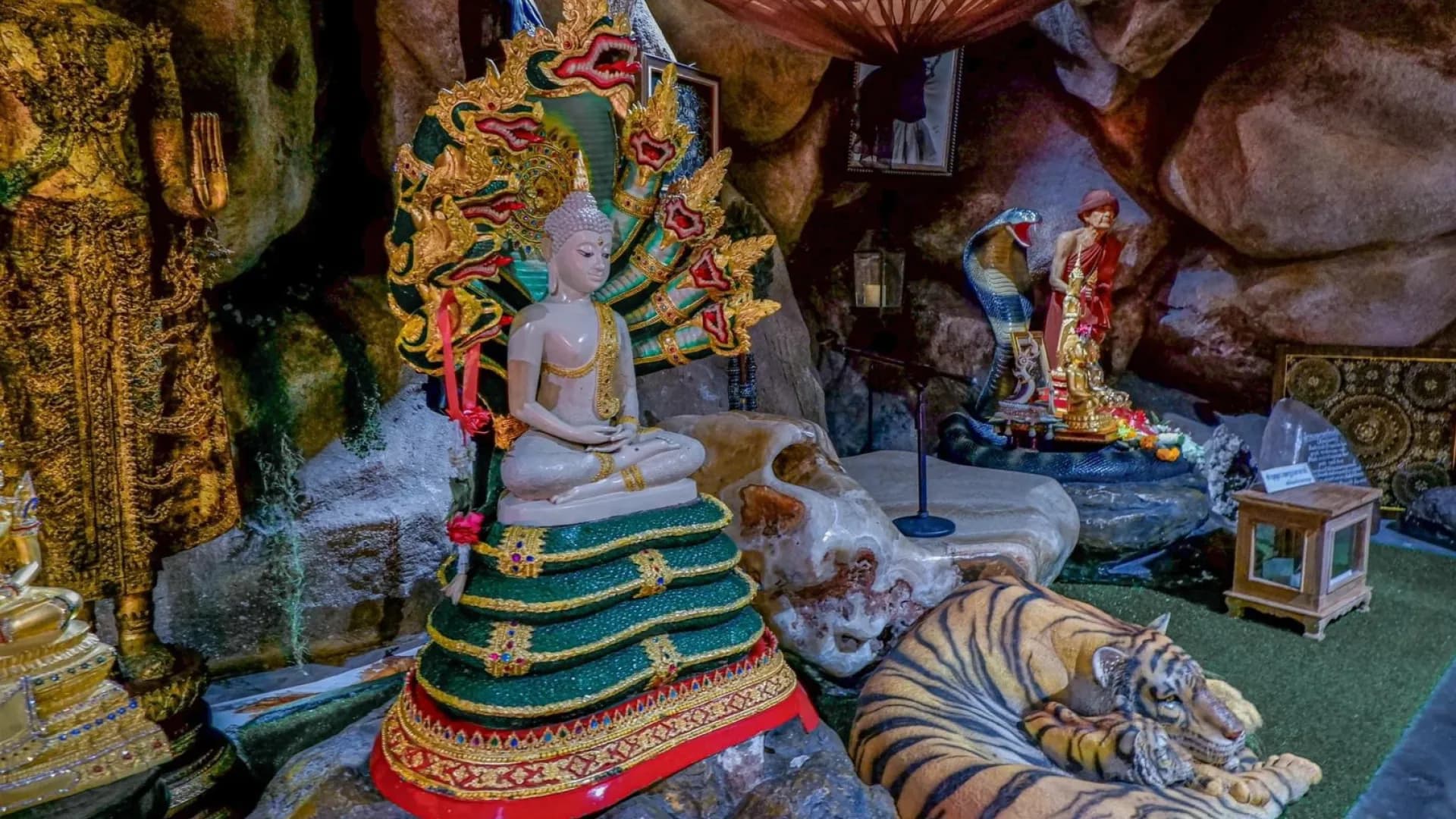 Изображение услуги5