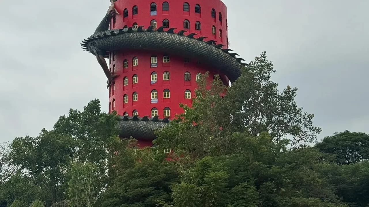 Изображение услуги7