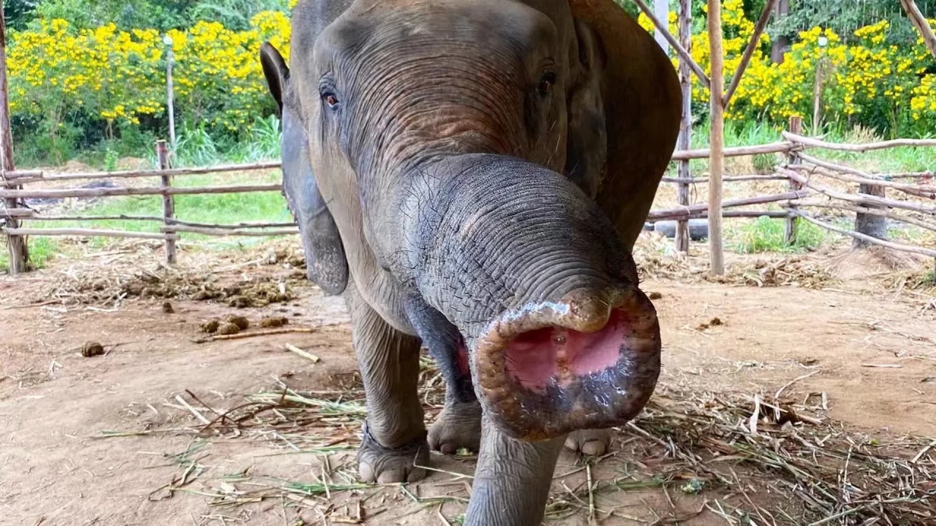 Изображение услуги2