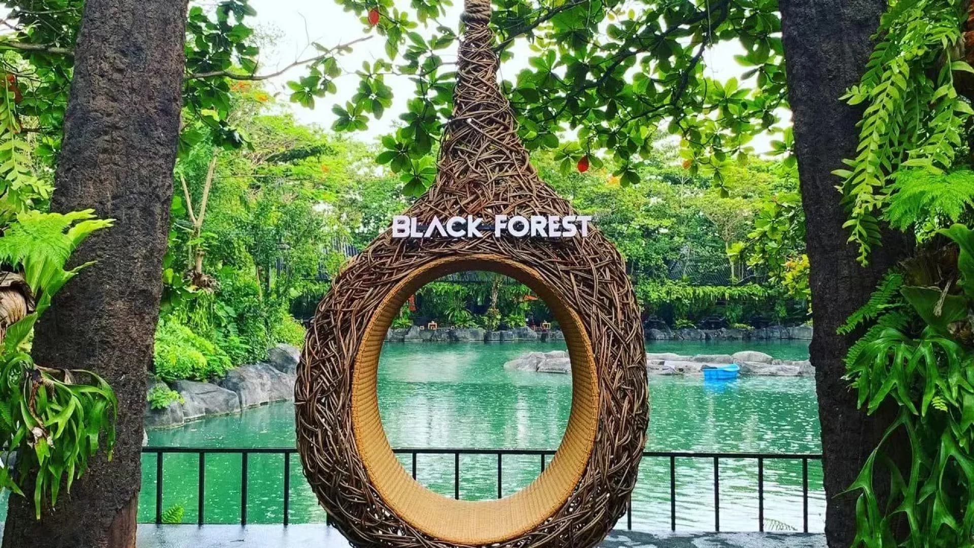 Изображение услуги4