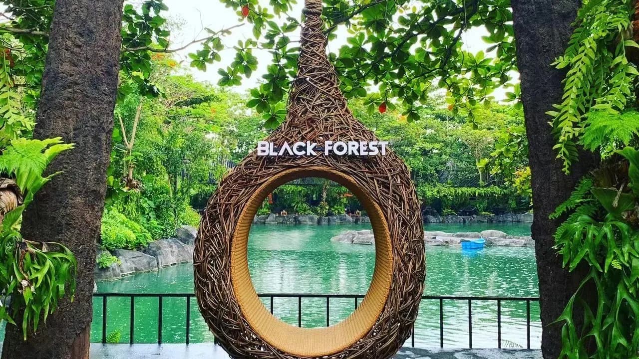 Изображение услуги4