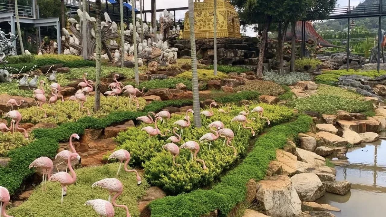 Изображение услуги1