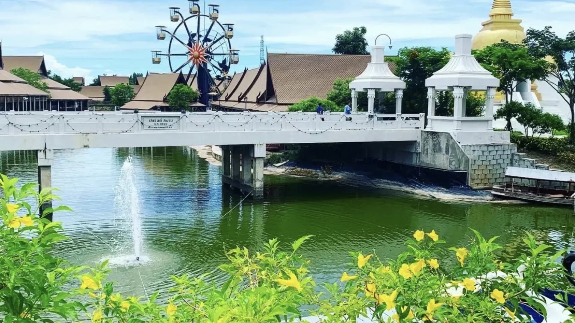 Изображение услуги2