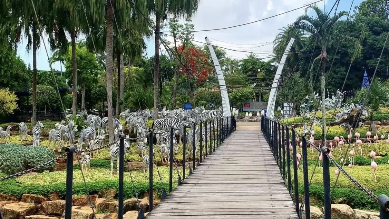 Изображение услуги4