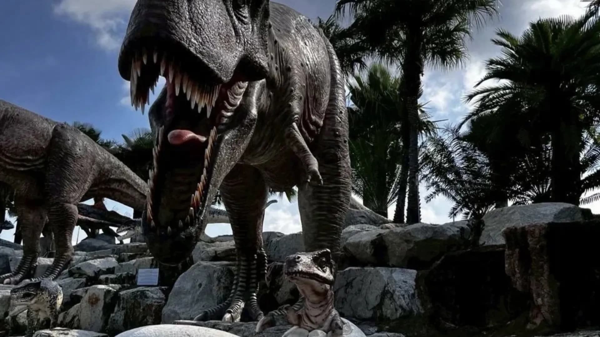 Изображение услуги6