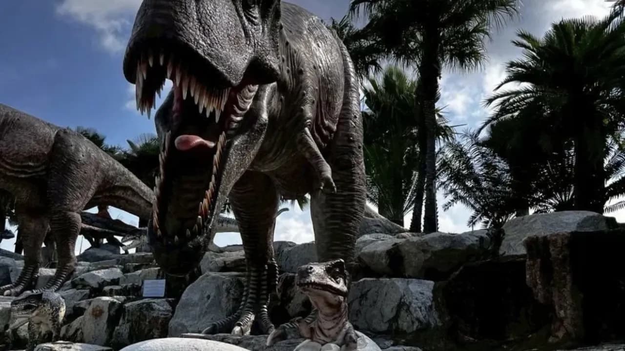 Изображение услуги6