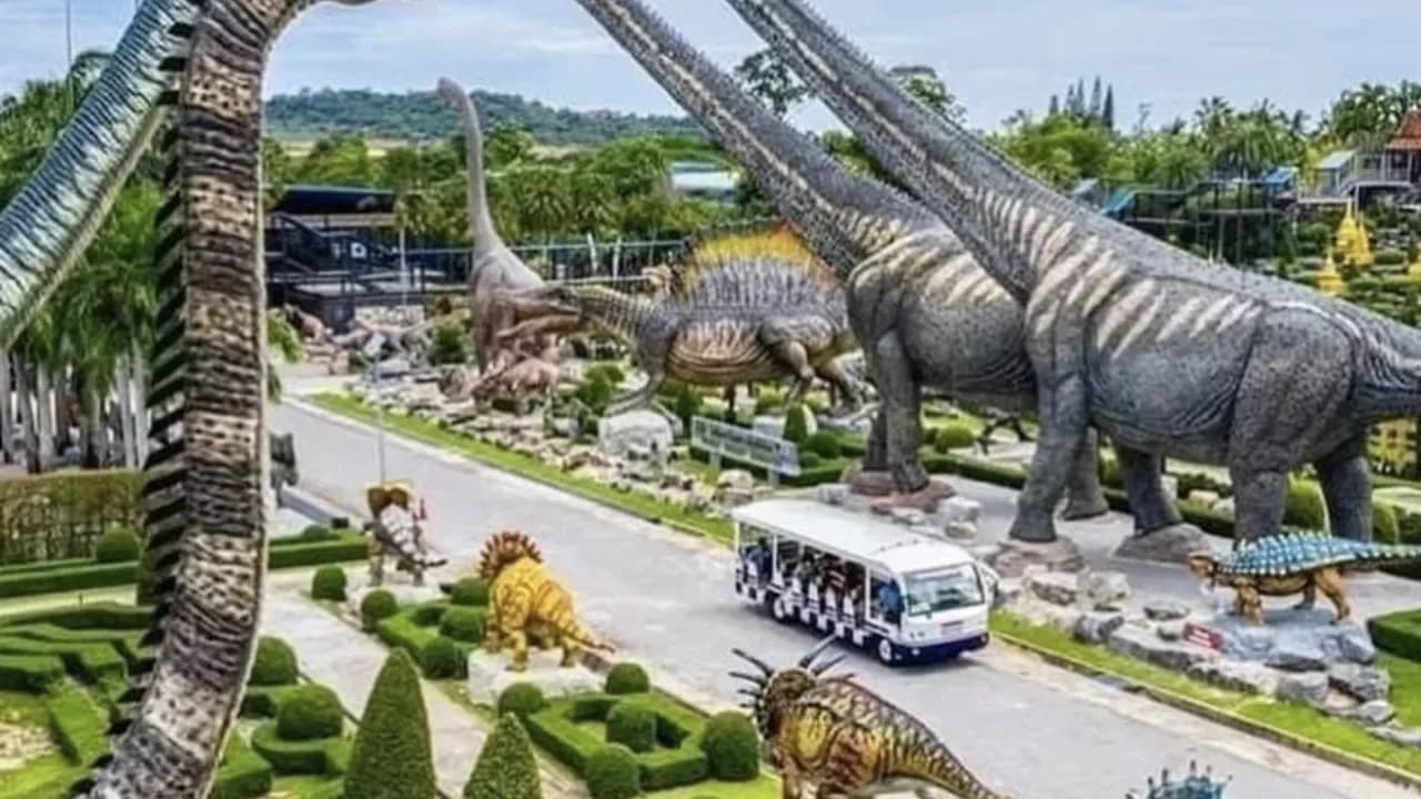 Изображение услуги7