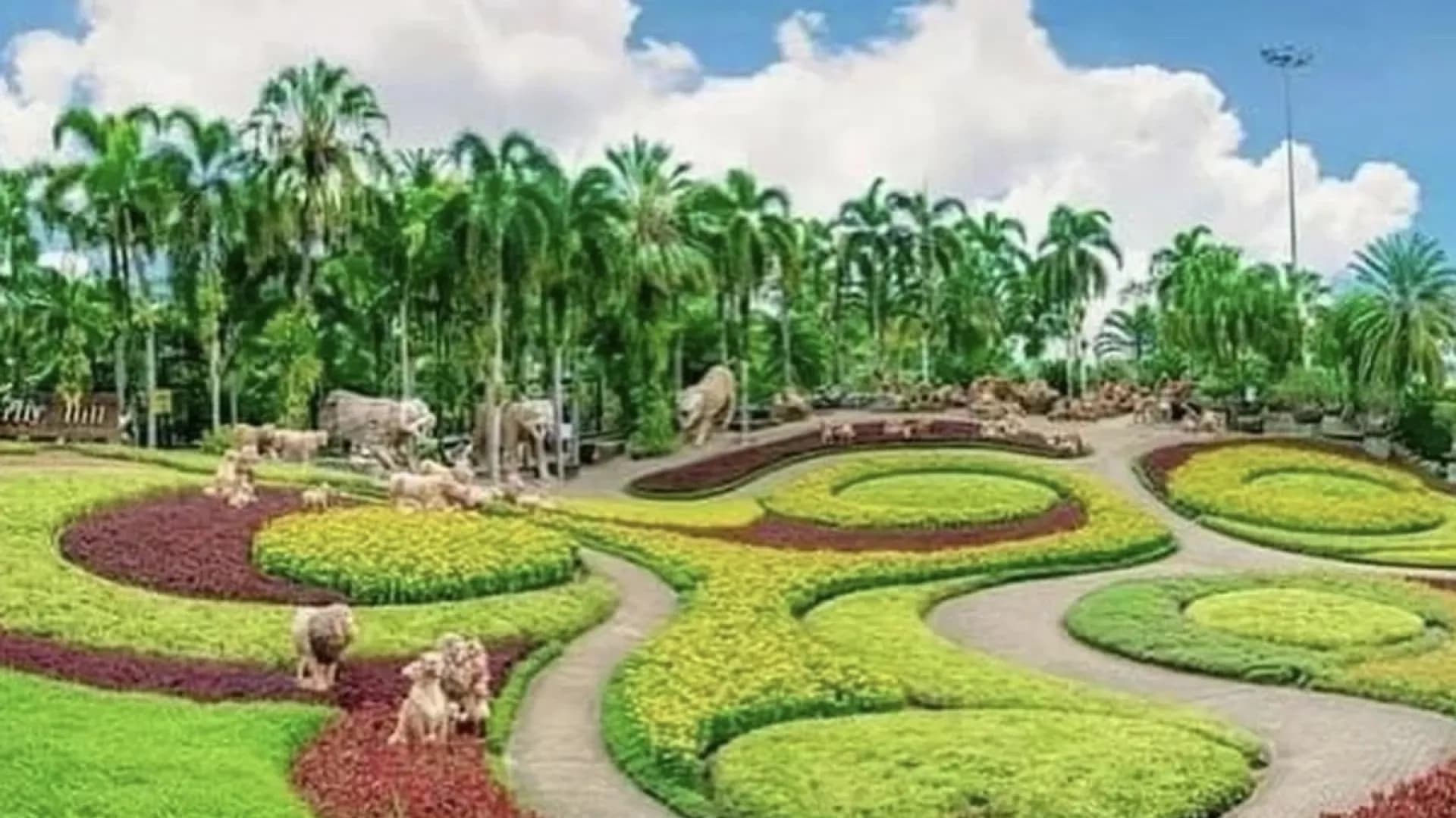 Изображение услуги8