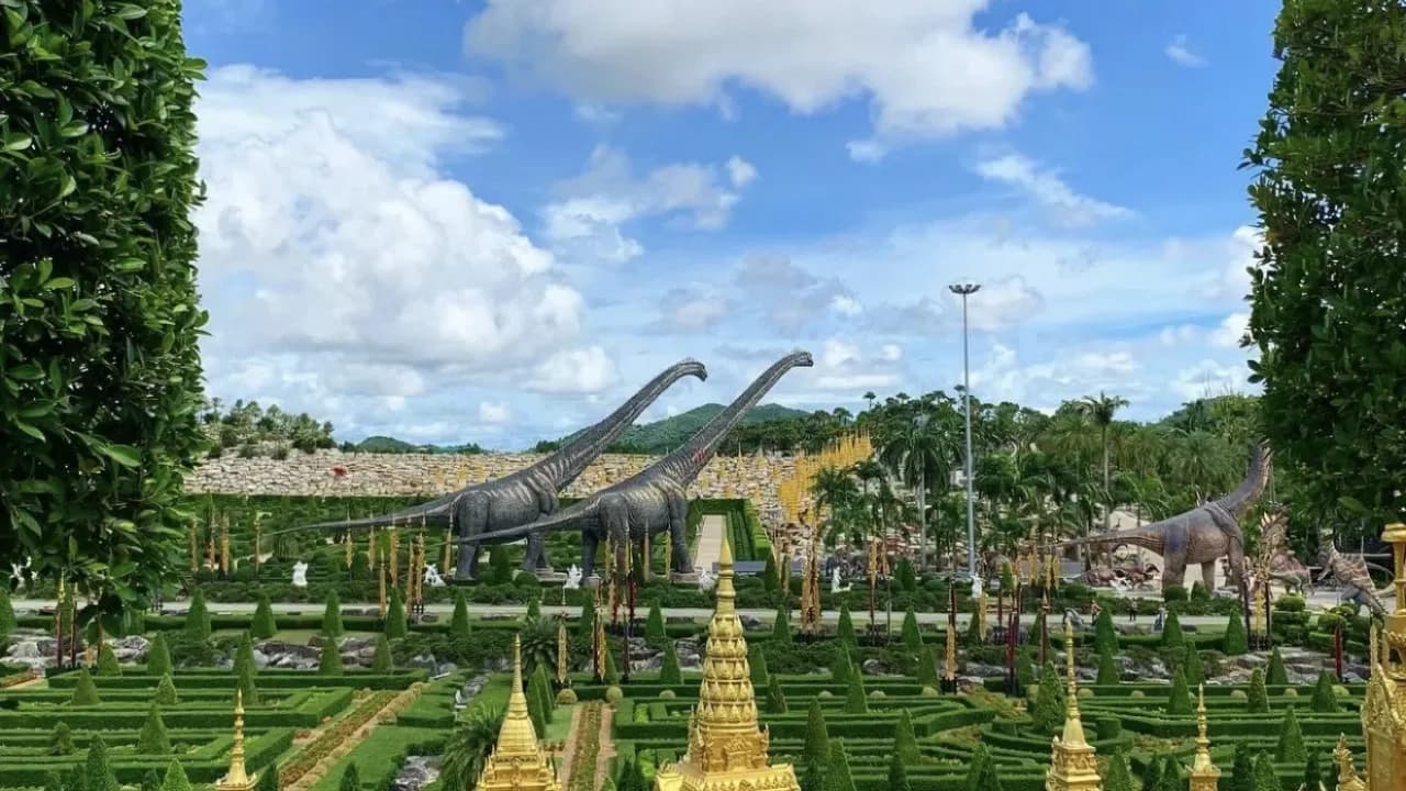 Изображение услуги12