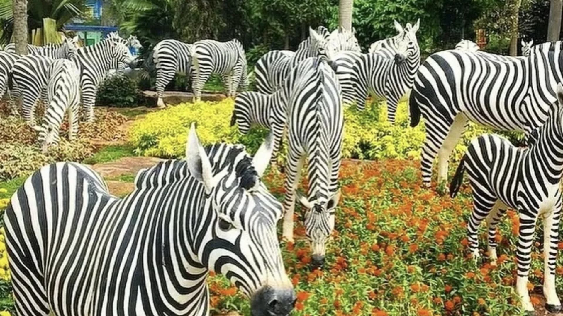 Изображение услуги2