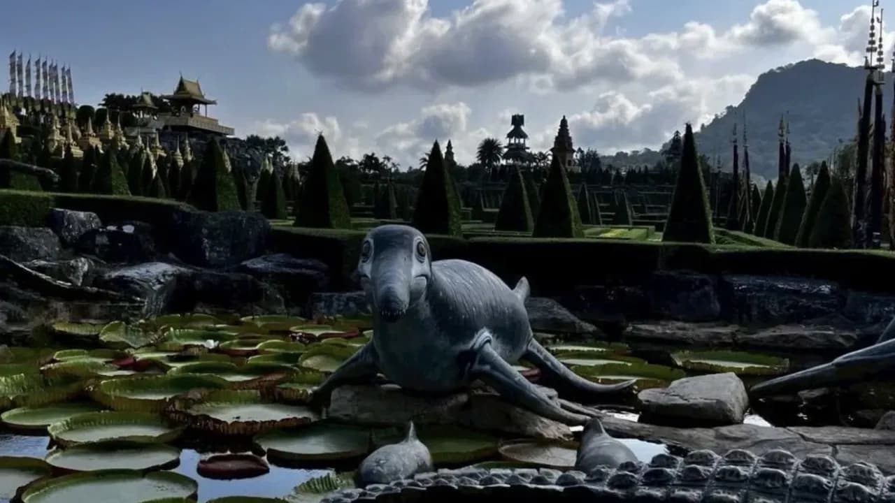 Изображение услуги7