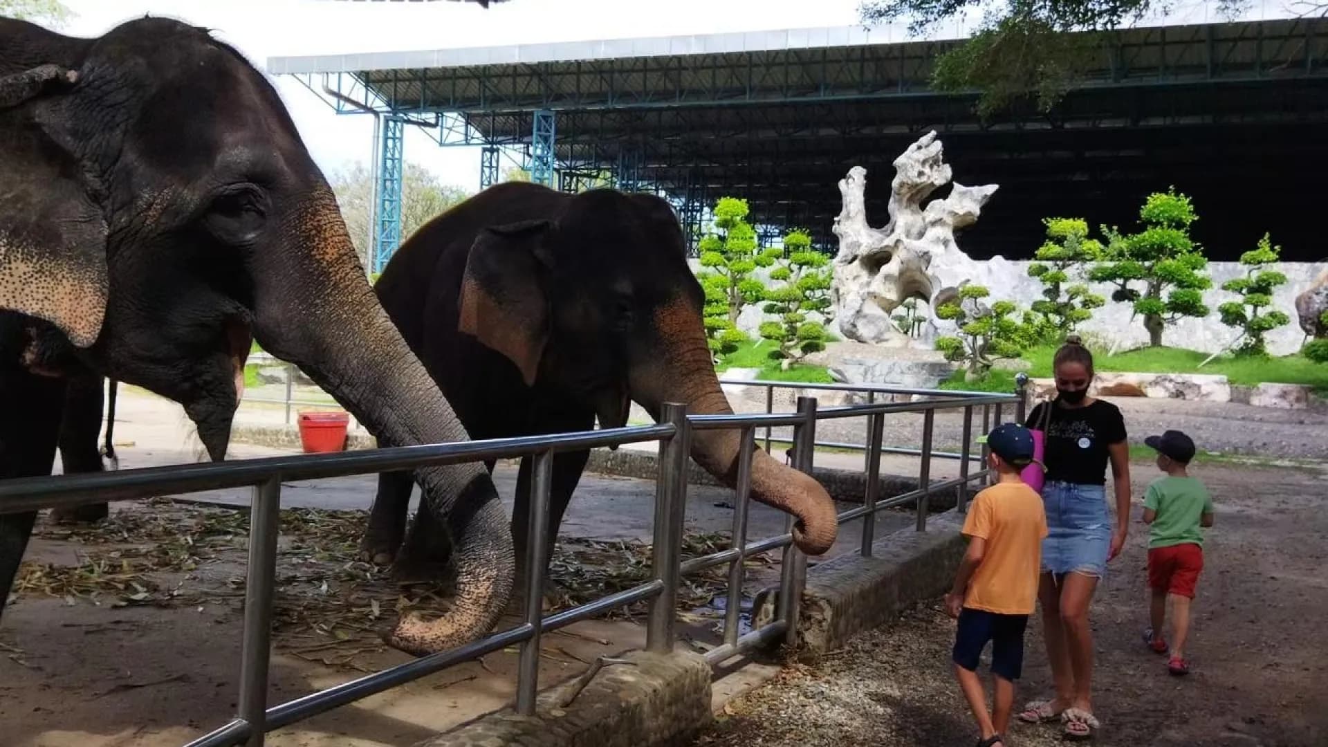 Изображение услуги1